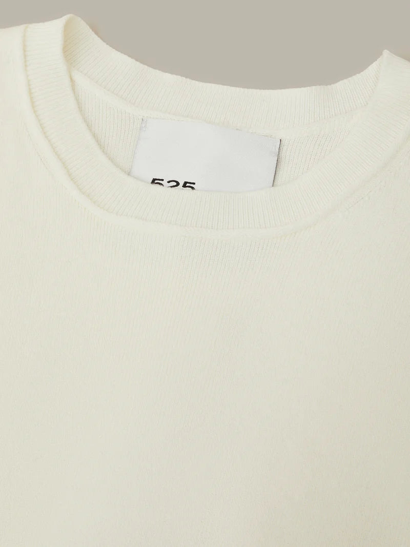 Colette Solid Crew Neck Boxy Tee