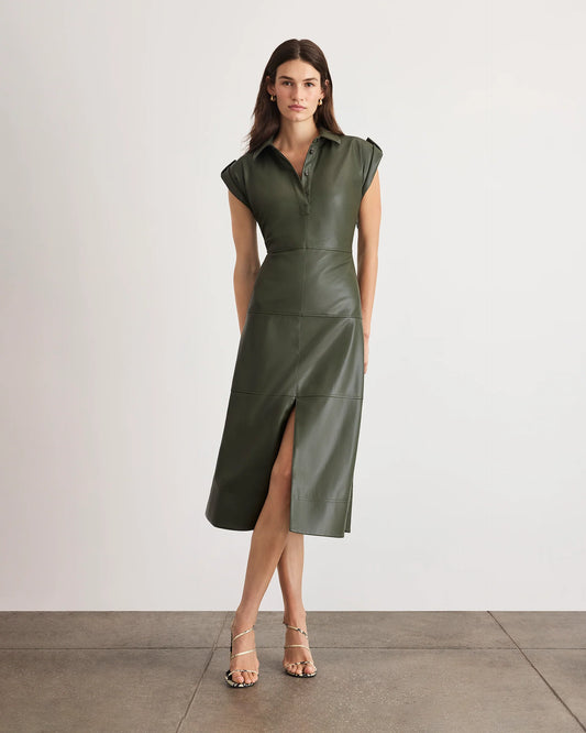 Shivi Dress