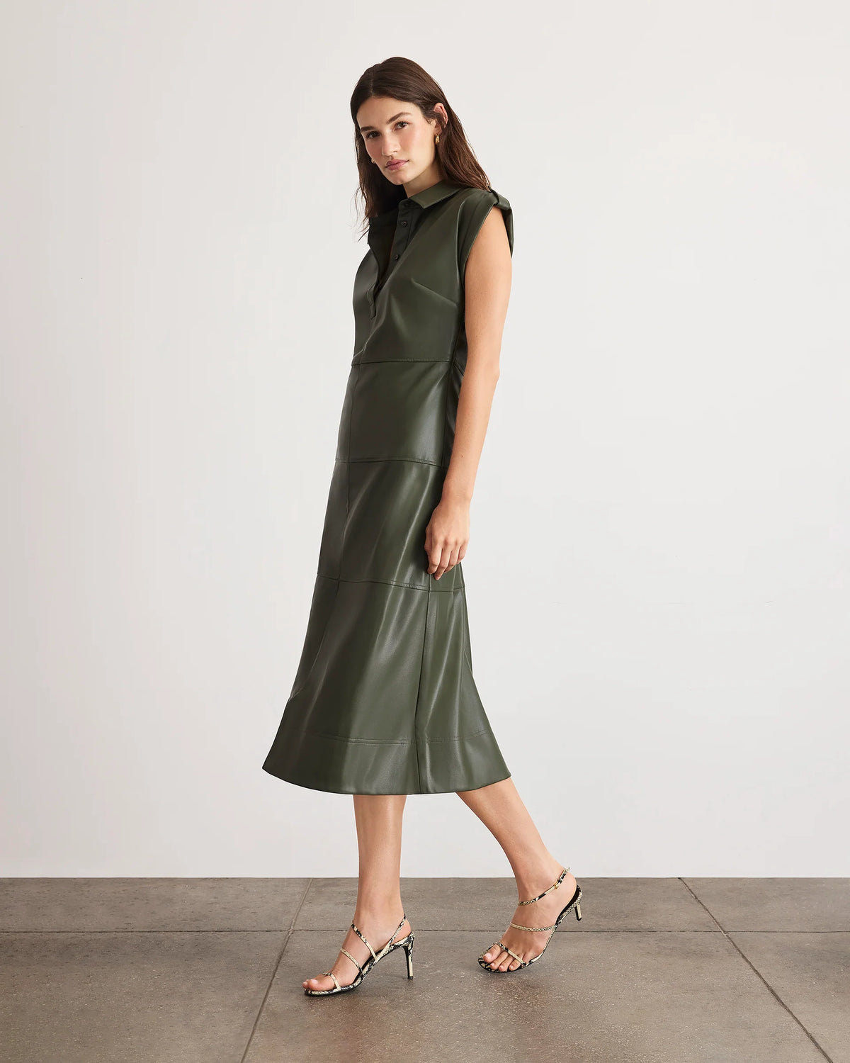 Shivi Dress